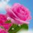 آذین مهر رحمانی